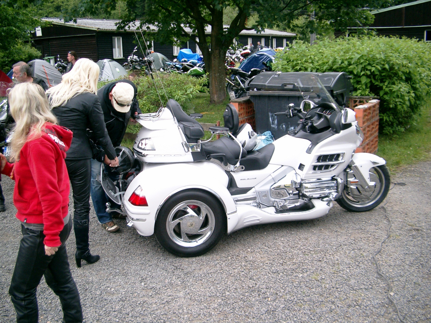 Gold Wing Trike