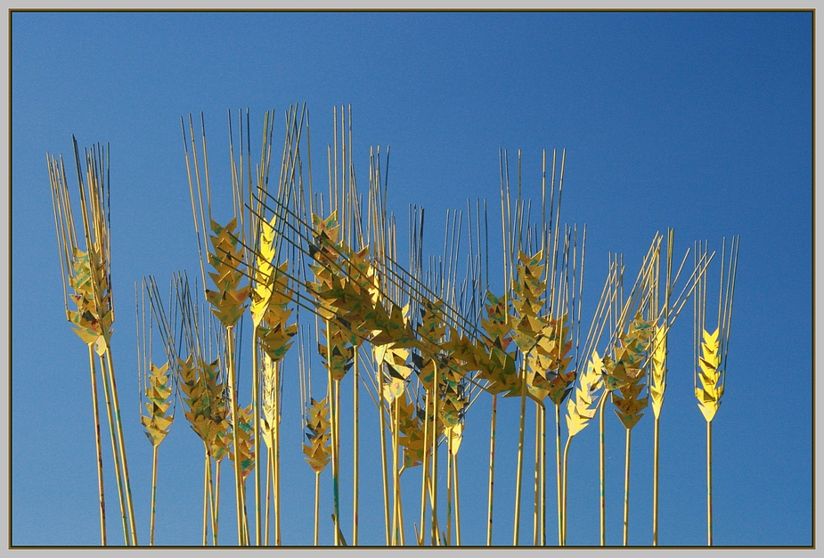 Goldähren