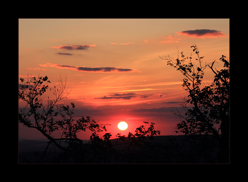 Goldammers kleines Abendlied - oder: ...im Banne des Augenblicks...