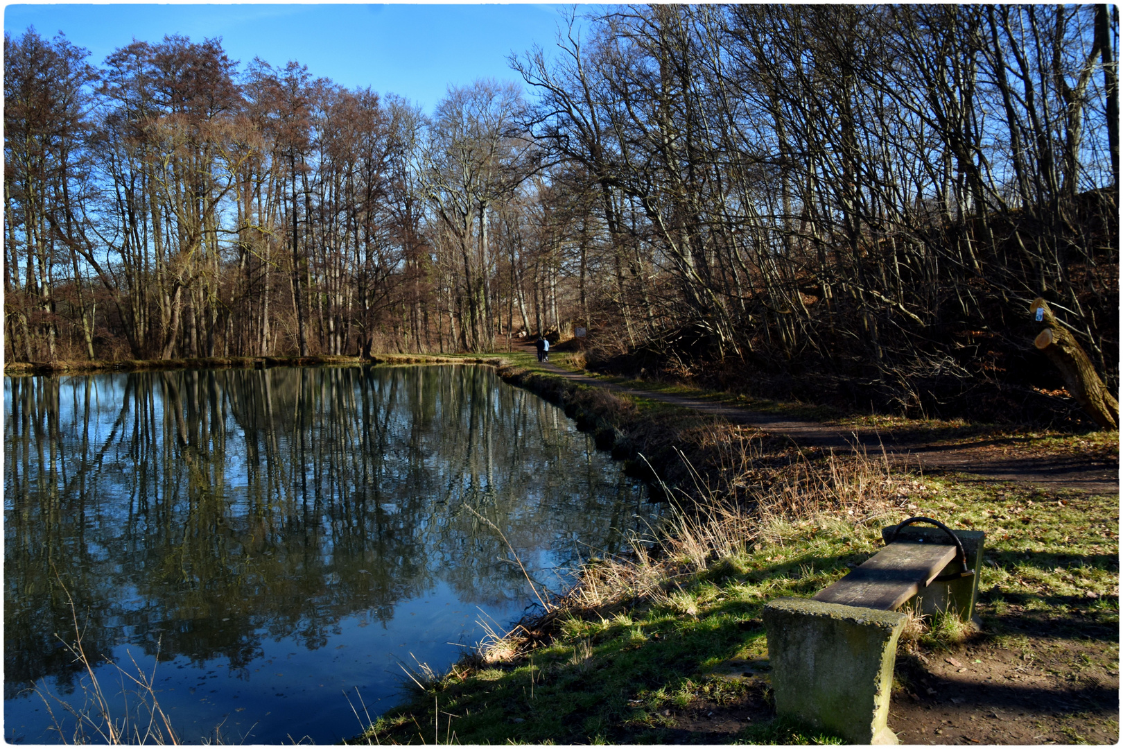 Goldbach-Teich in Oesig