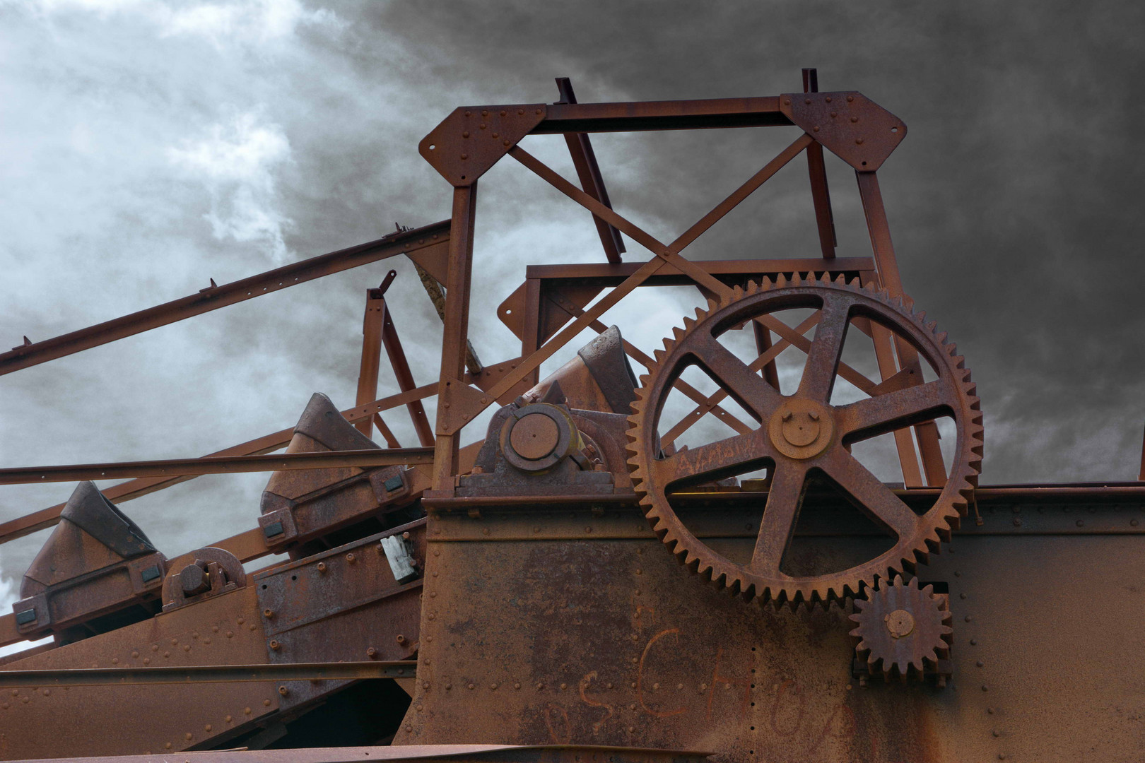 Goldbagger in Tierra del Fuego