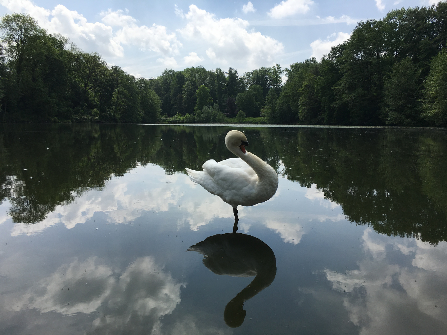 Goldbergsee