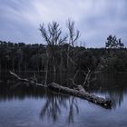 Goldbergsee