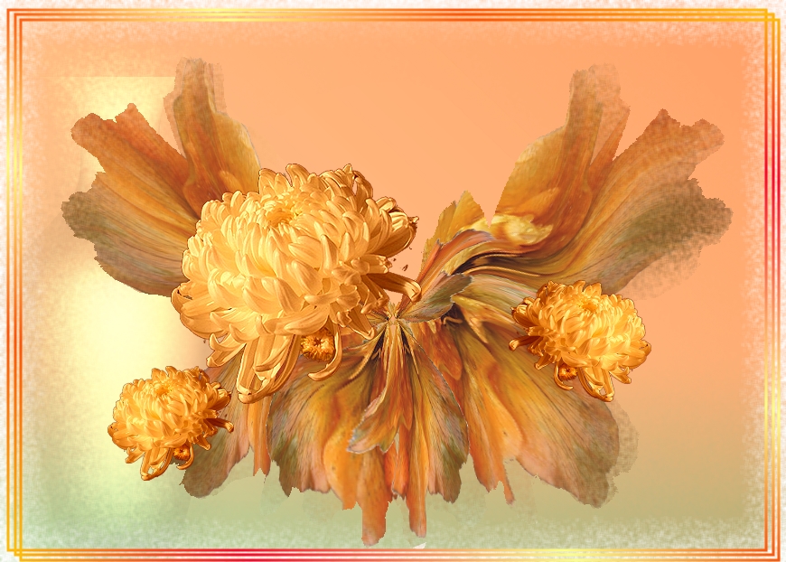 Goldchrysanthemen