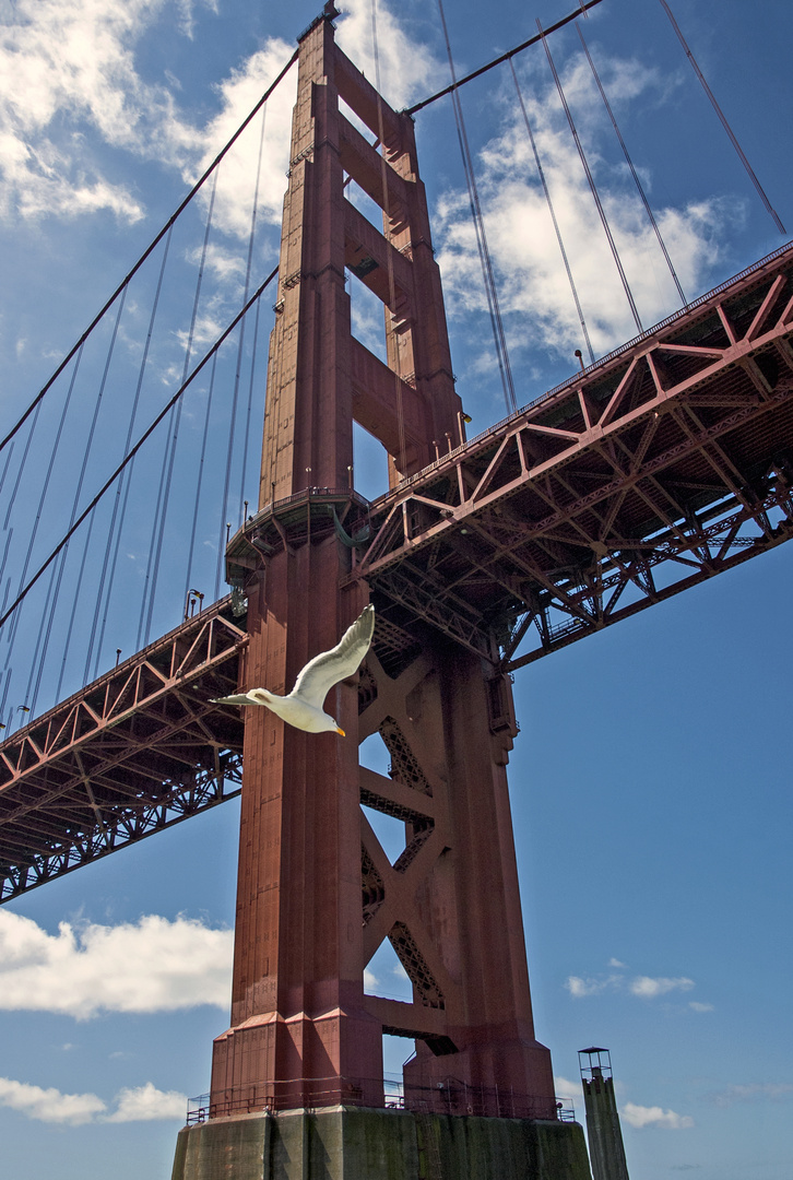 Golde Gate Bridge