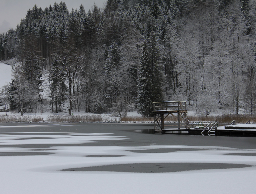 Goldegger See