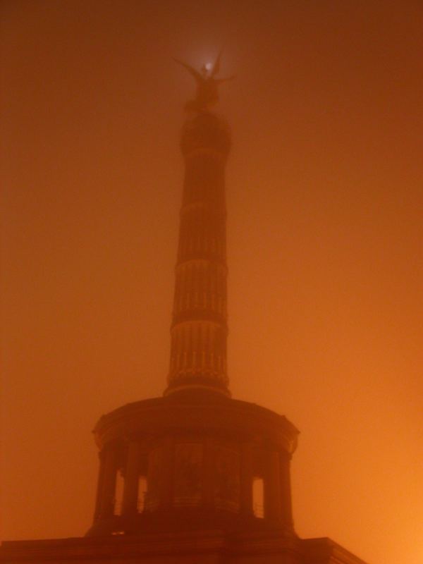 Goldelse im Nachtnebel