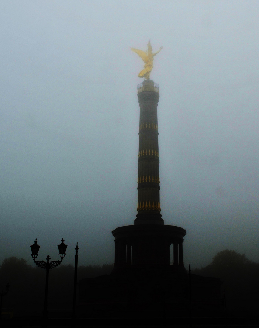 Goldelse im Novembernebel