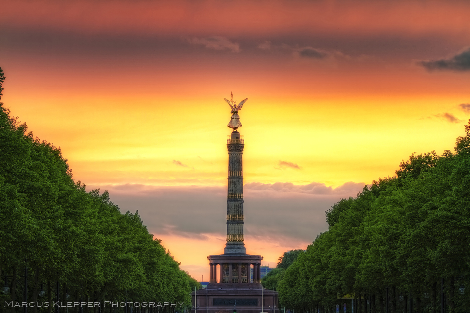 Goldelse im Sonnenuntergang