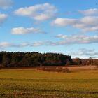 " Golden * am Blauen Steinbruch "