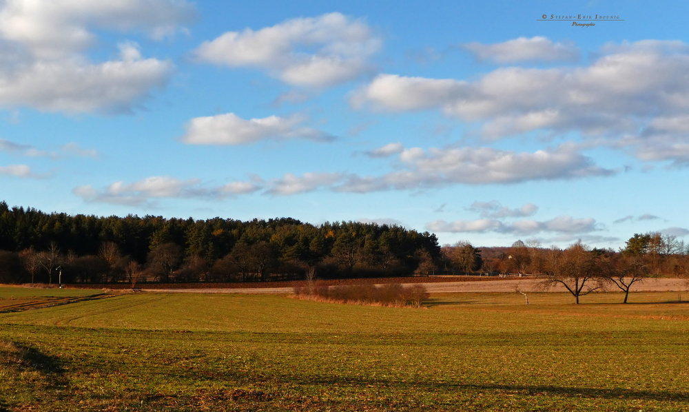 " Golden * am Blauen Steinbruch "