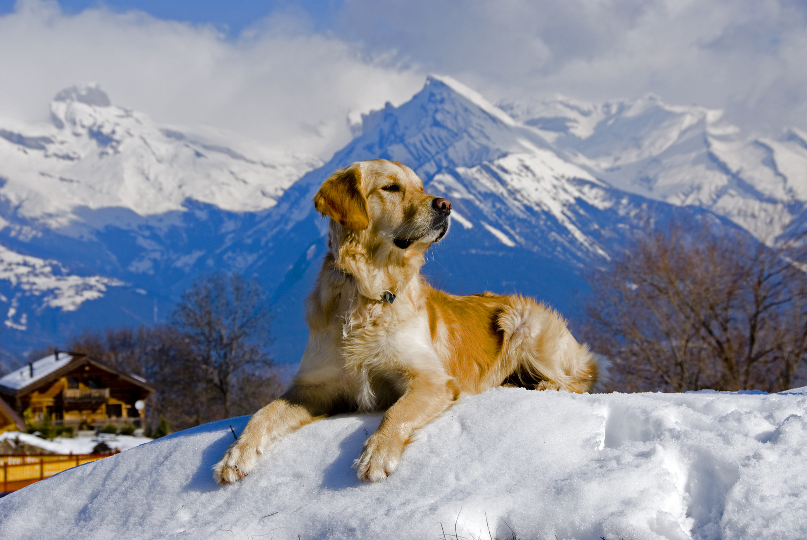 Golden Angels - Freundschaften im Gebirge