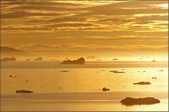 golden arctic view