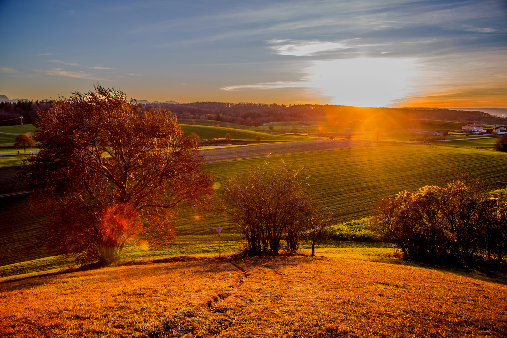 Golden Autum