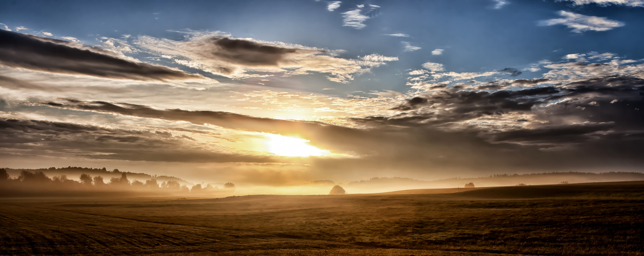 Golden Autum light