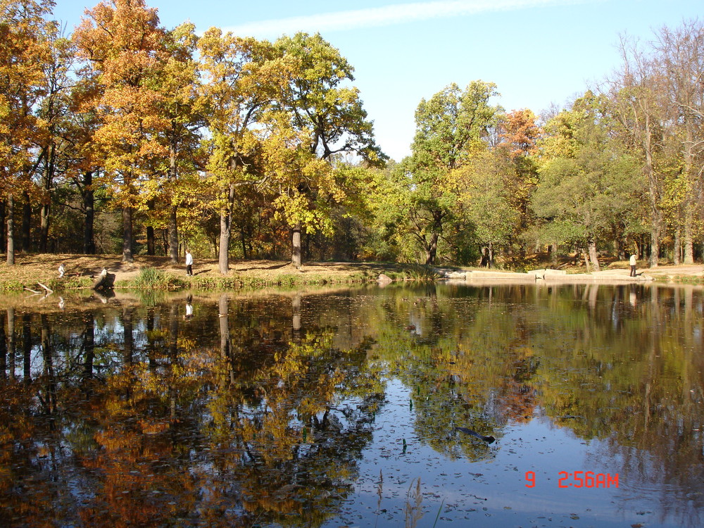 golden autumn