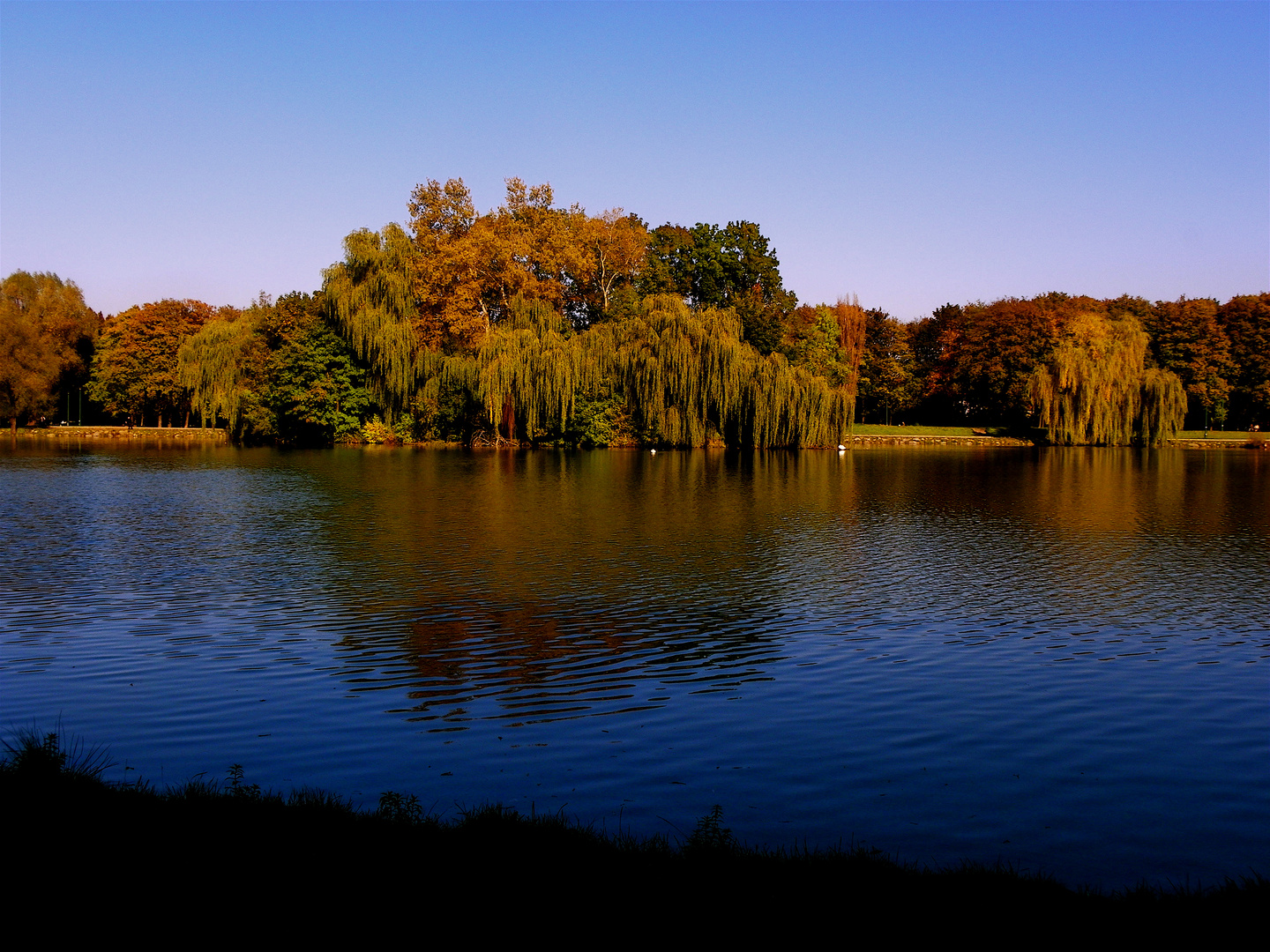 golden autumn