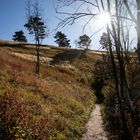 Golden Autumn Day