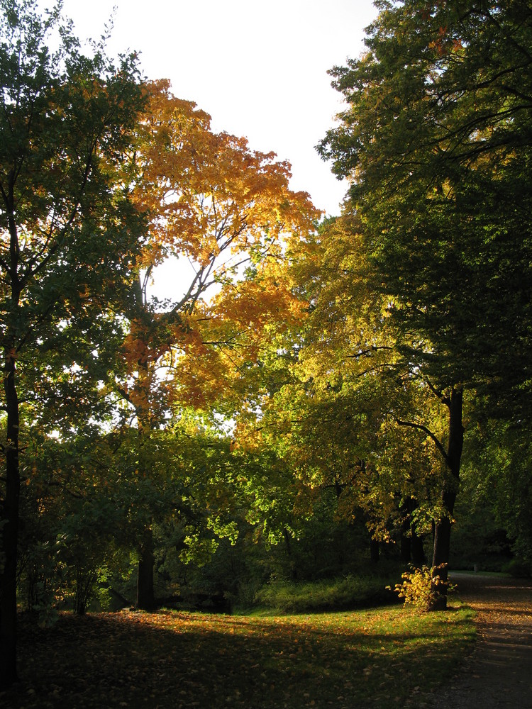 Golden Autumn