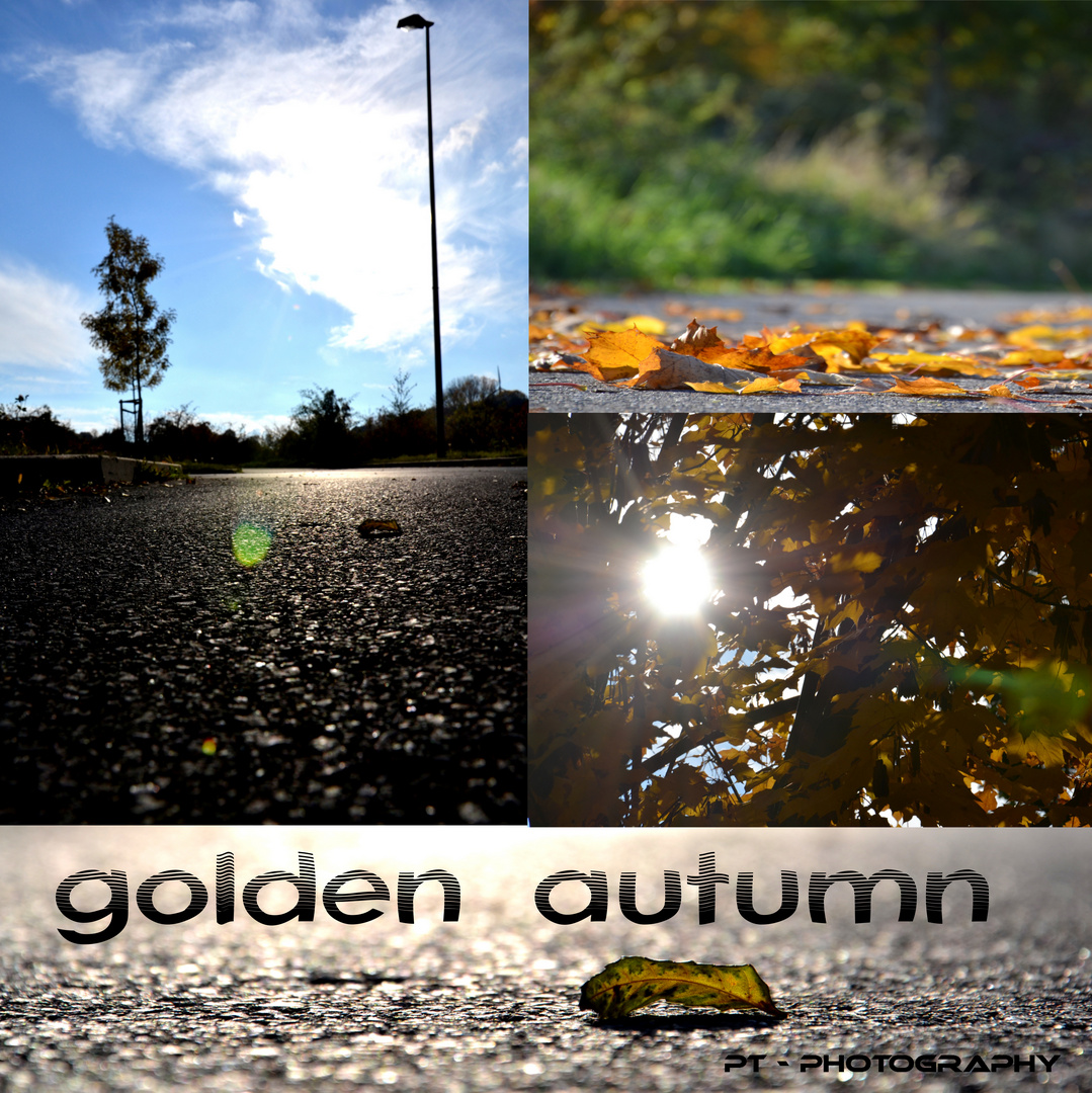 golden autumn