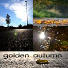 golden autumn