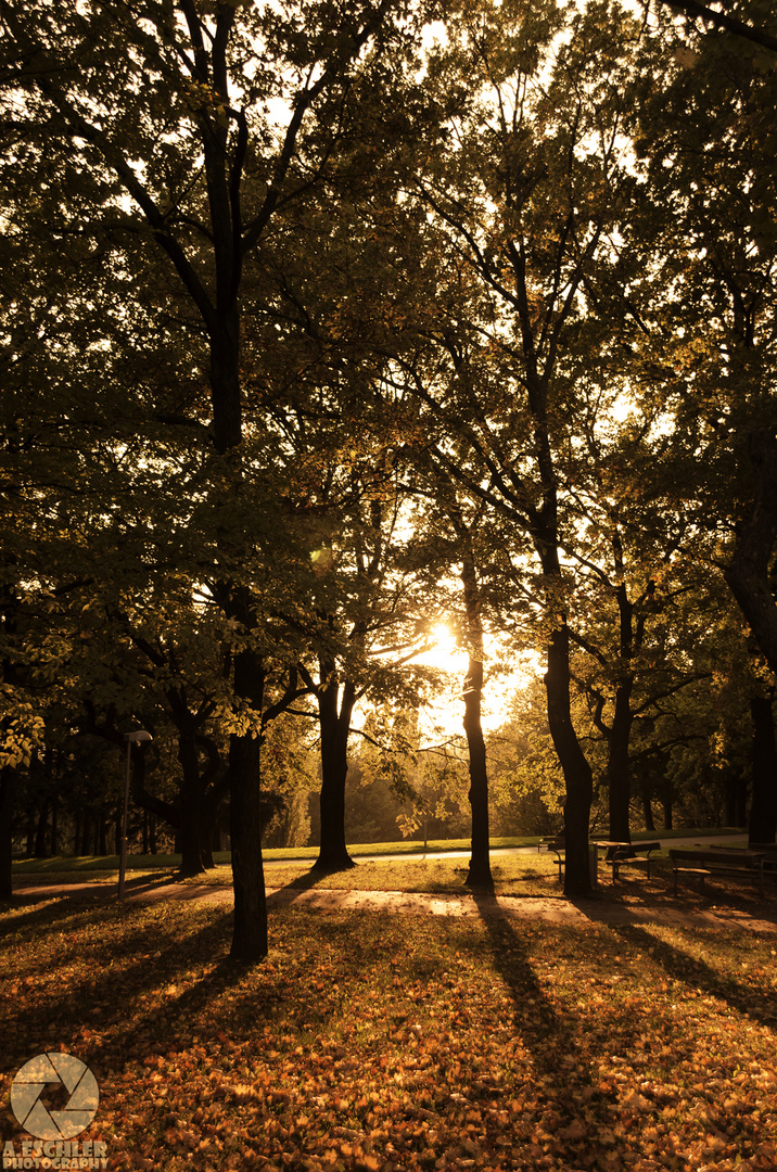 Golden Autumn, Goldener Herbst