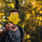 Golden autumn light