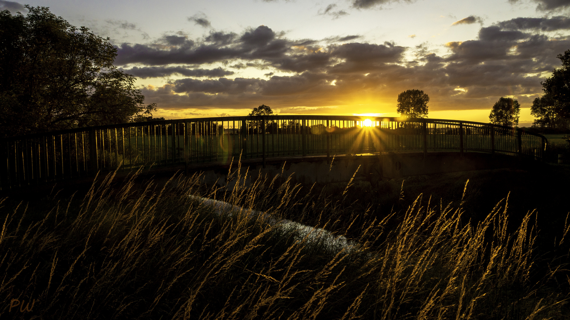 Golden Barthe-Bridge