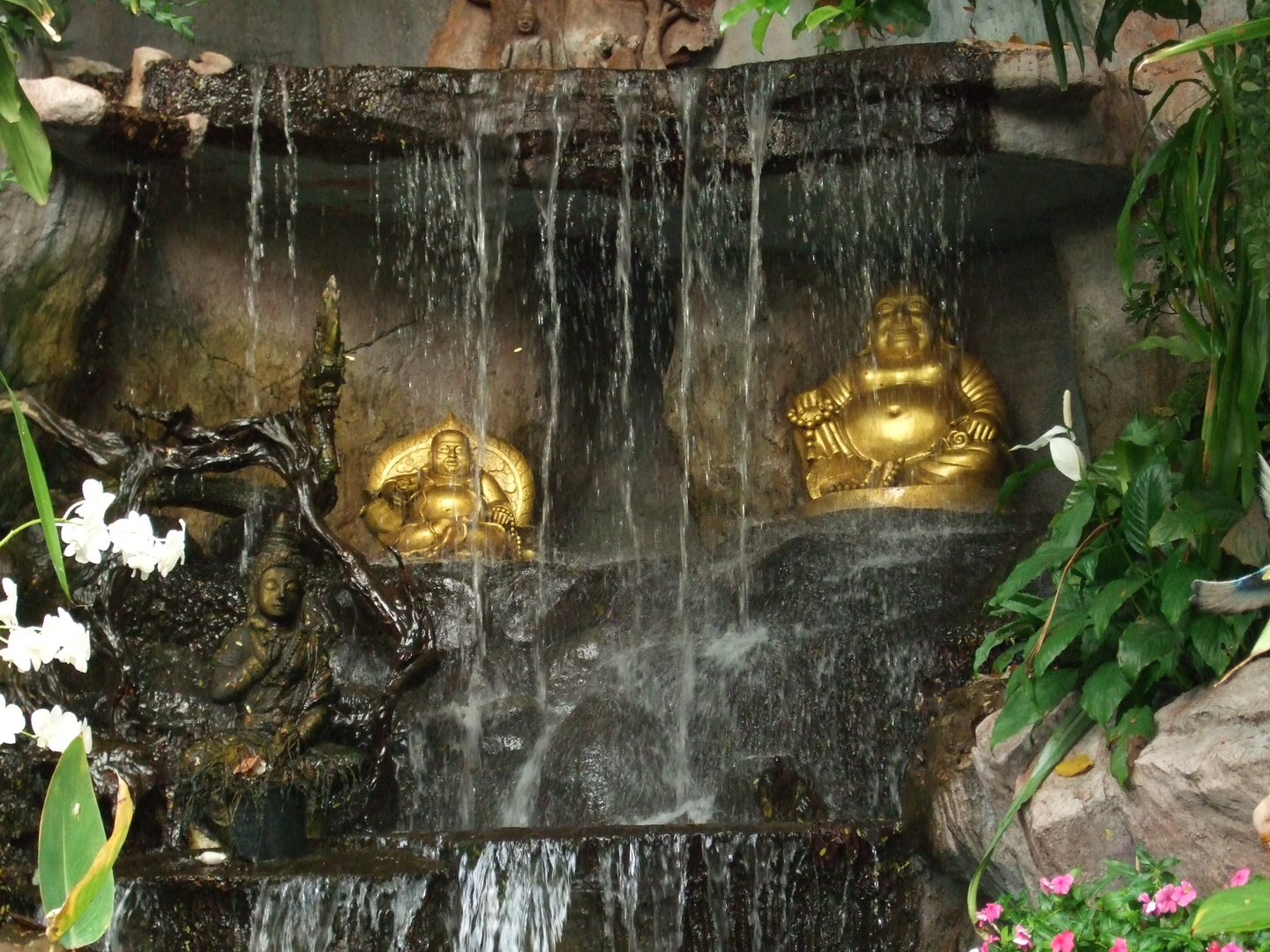 Golden Buddhas