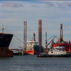 GOLDEN BULL / Bulk Carrier / Botlek / Rotterdam