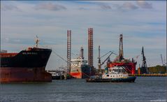 GOLDEN BULL / Bulk Carrier / Botlek / Rotterdam