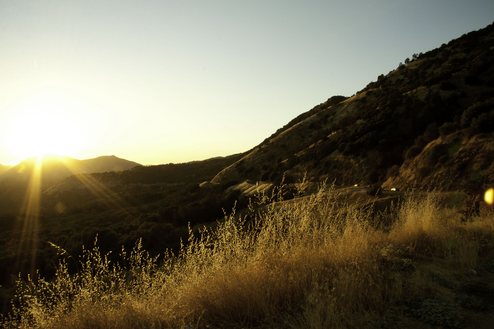 Golden California light