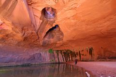 Golden cathedral, Neon canyon