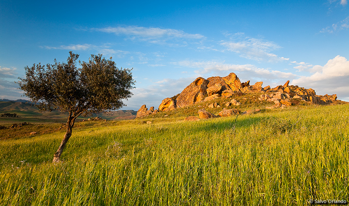 Golden cliff