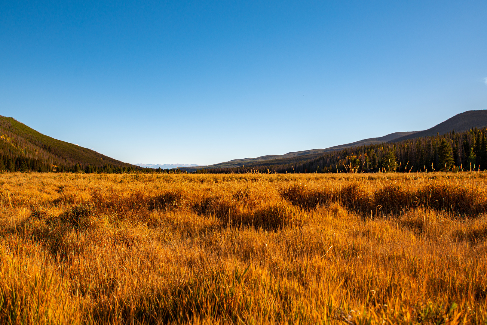 Golden Colorado