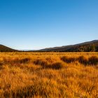 Golden Colorado