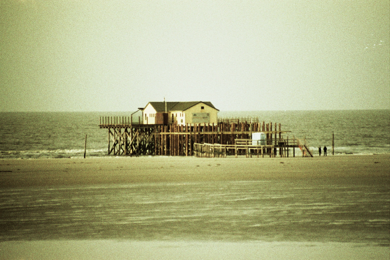 Golden day, St. Peter