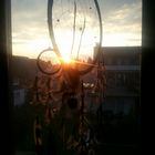 golden dreamcatcher