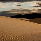 Golden Dunes