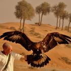 Golden eagle - Banyan Tree Al Wadi