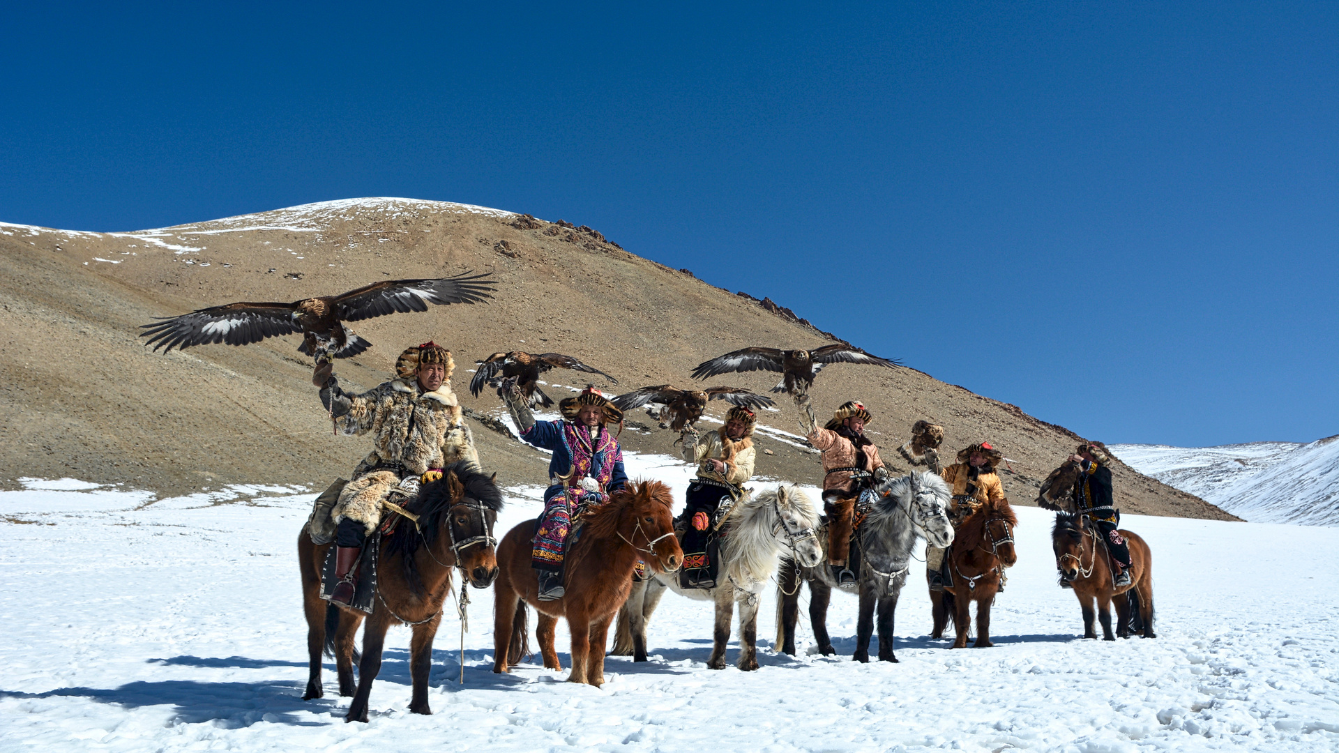 Golden Eagle Hunters in Mongolia Foto & Bild asia, mongolia, north