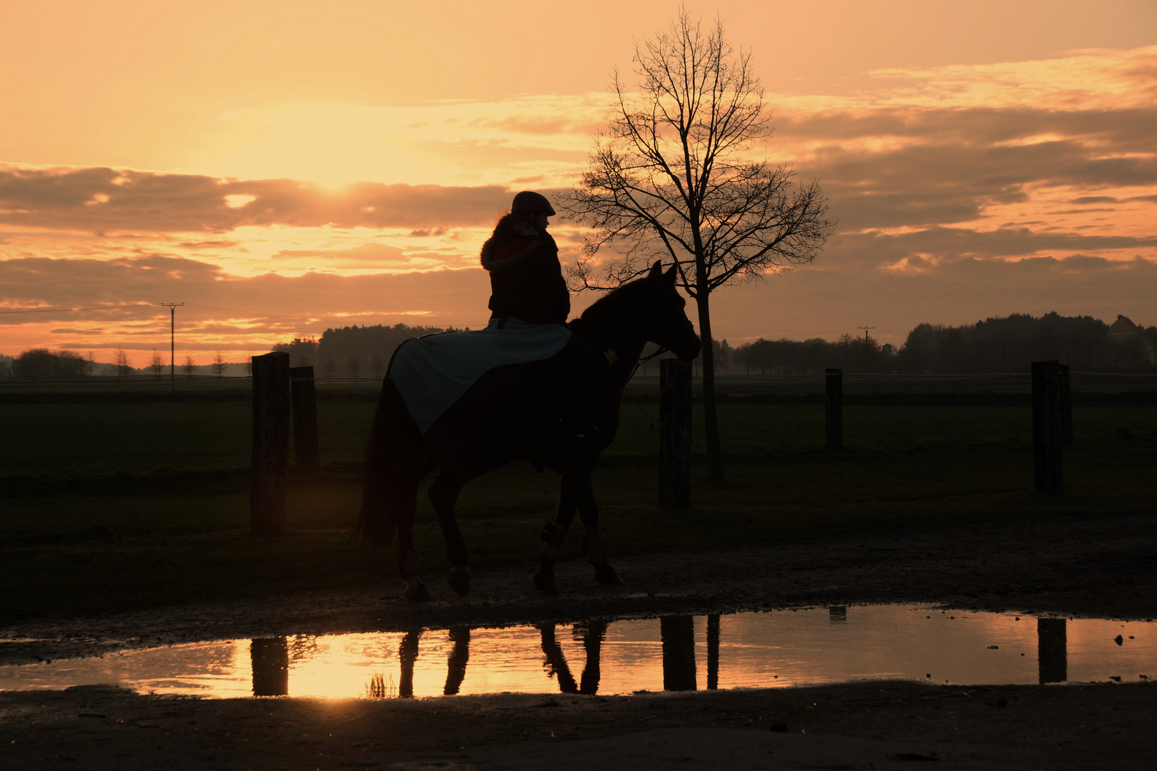 golden evening