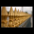 Golden fence