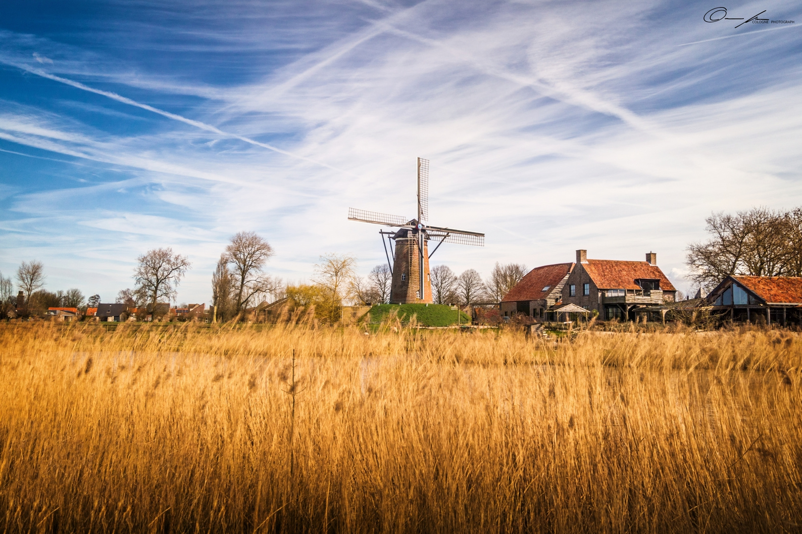 Golden field