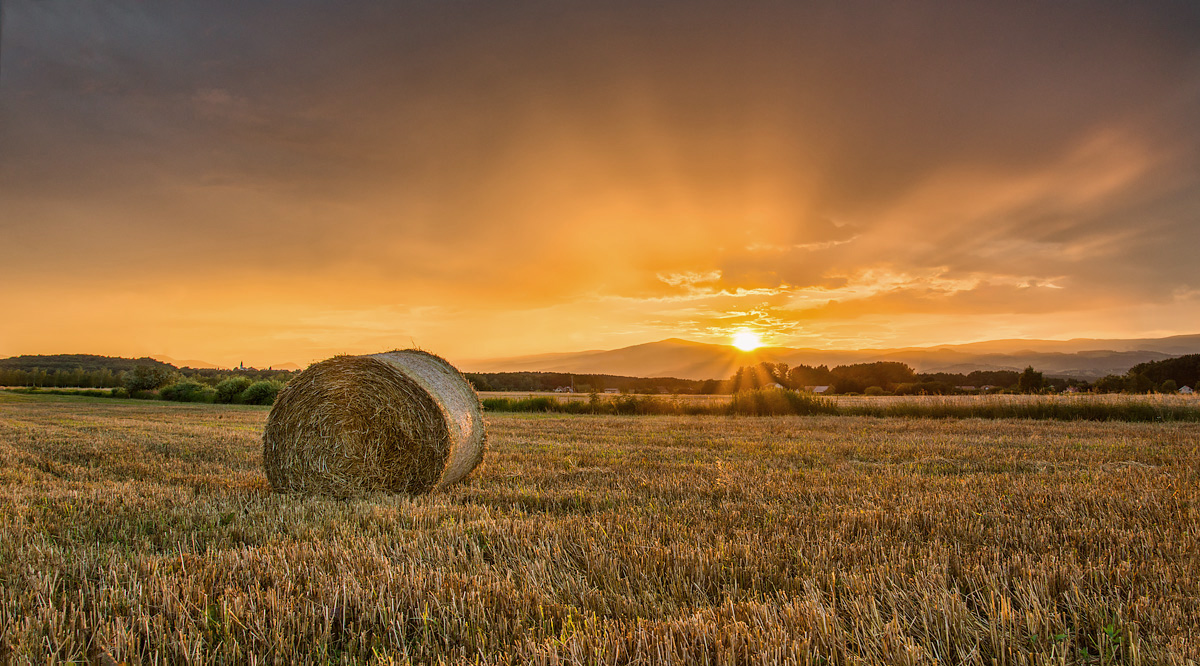 Golden field