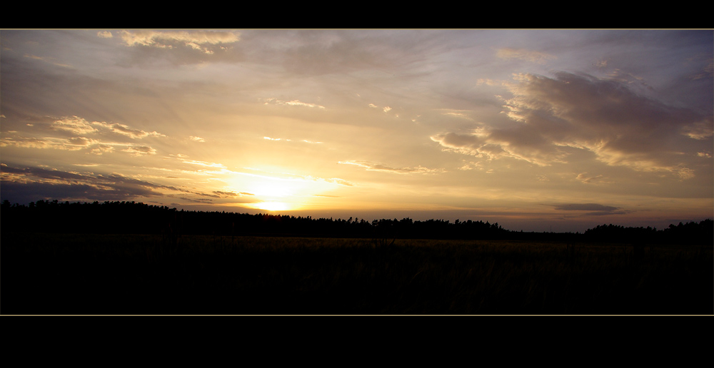 Golden Fields