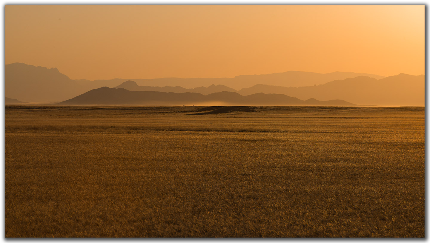 && Golden Fields &&