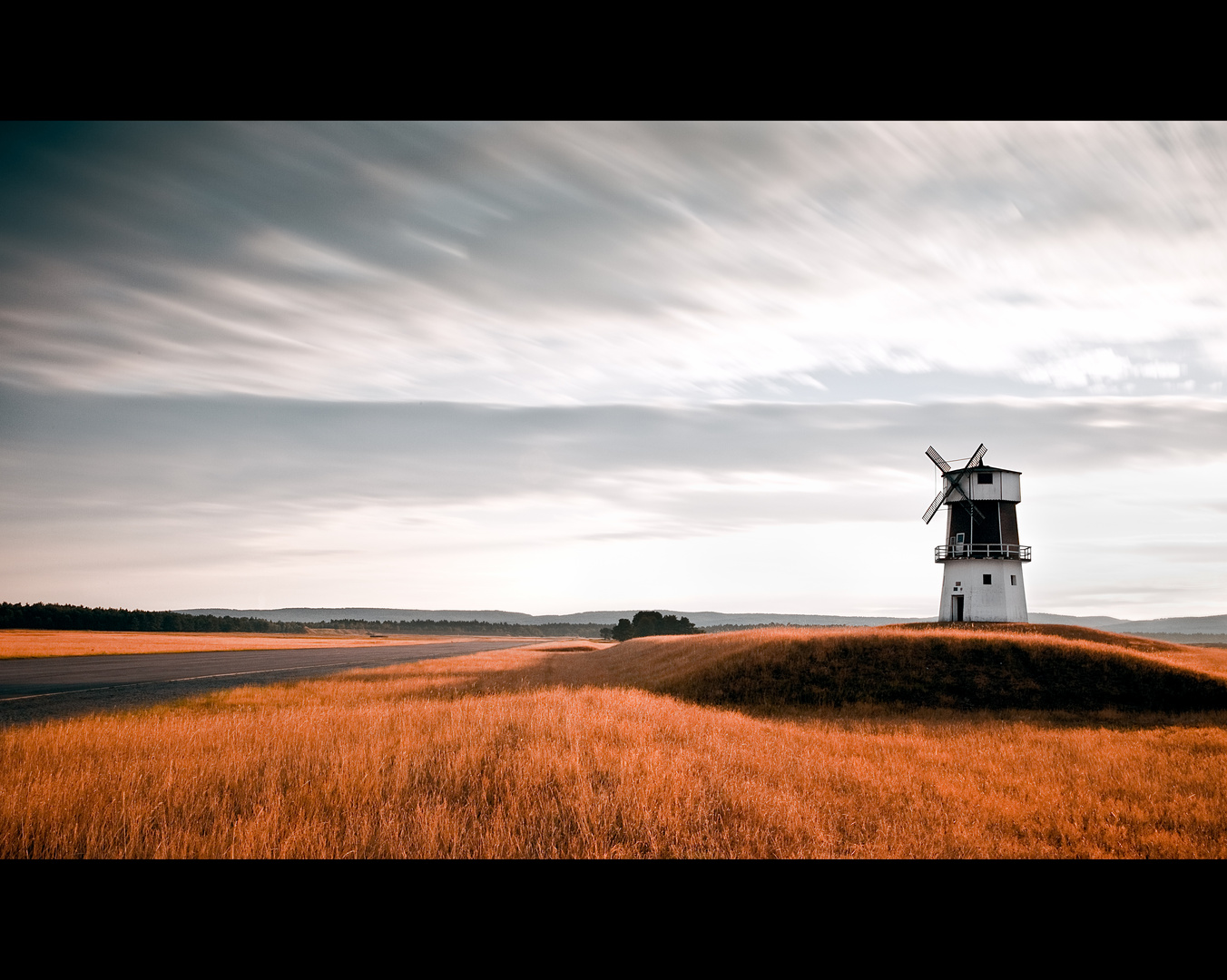 Golden Fields