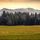 Golden Fields to Majestic Peaks