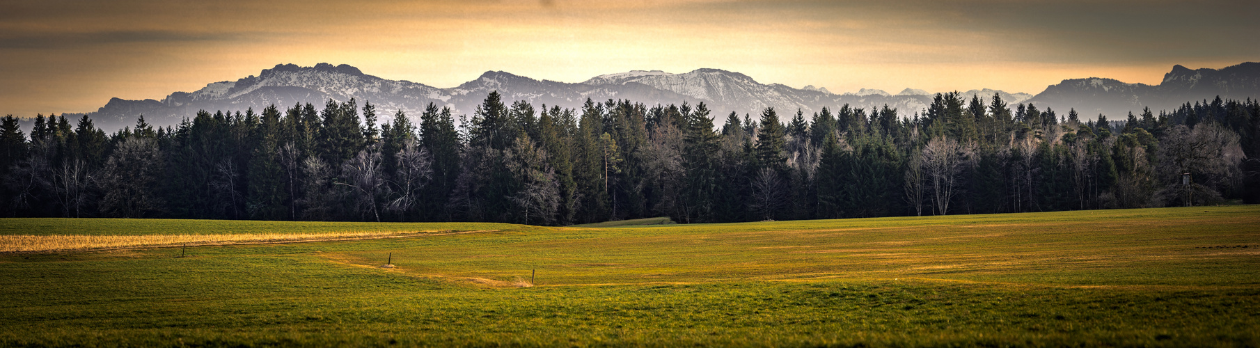 Golden Fields to Majestic Peaks